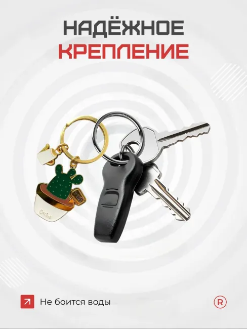 Брелок Кактус Cactus для ключей