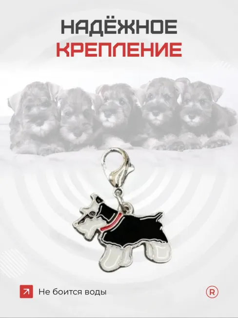 Металлический брелок Цвергшнауцер