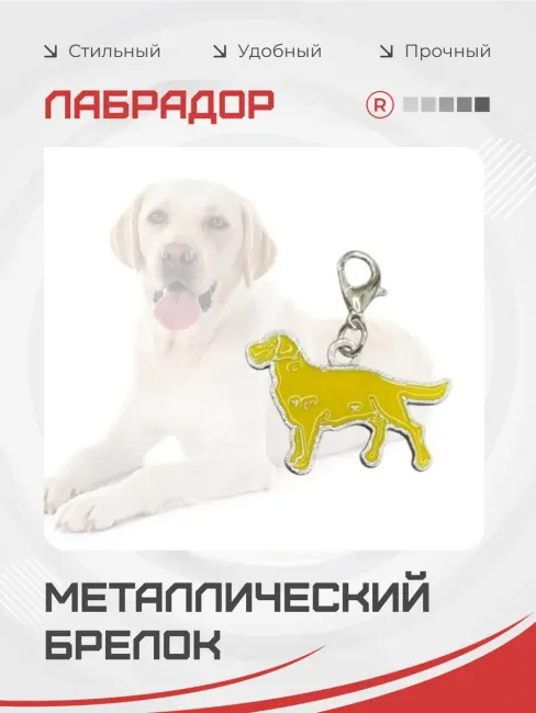 Металлический брелок Лабрадор