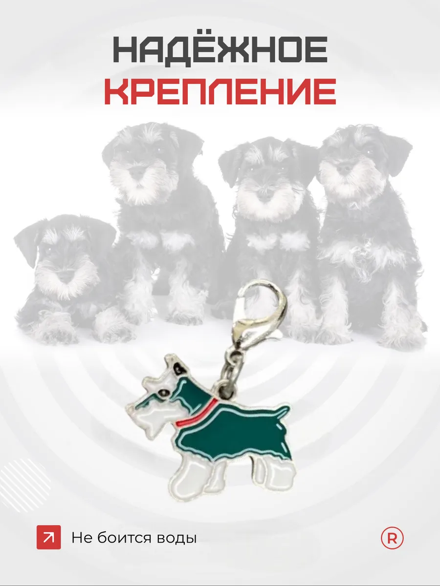 Металлический брелок Цвергшнауцер